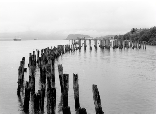 Pilings from an old pier dominate the view