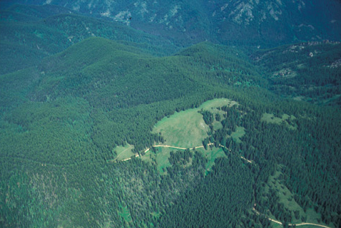 Spring Mountain