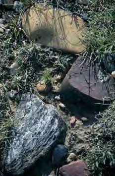 An assortment of stones large and small