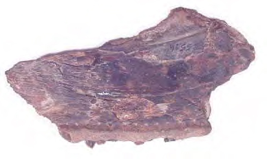 small, curved rock-like form