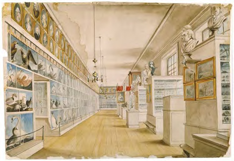 A narrow, long room lined floor to ceiling with shelves