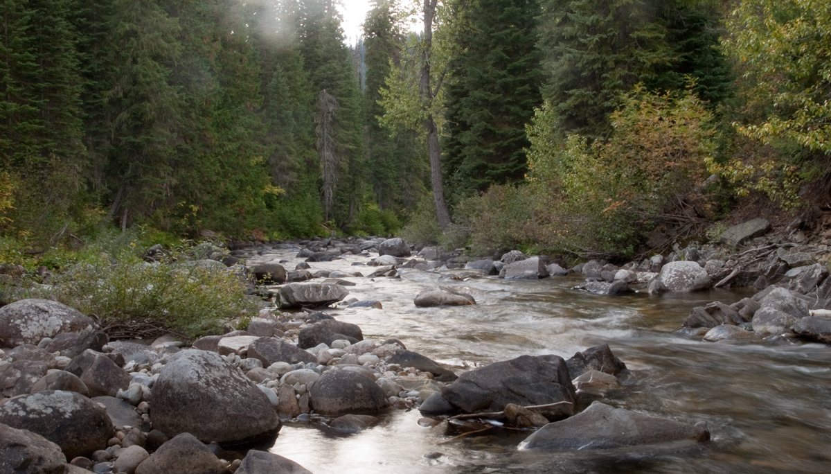 Creek tumbling around large boulders