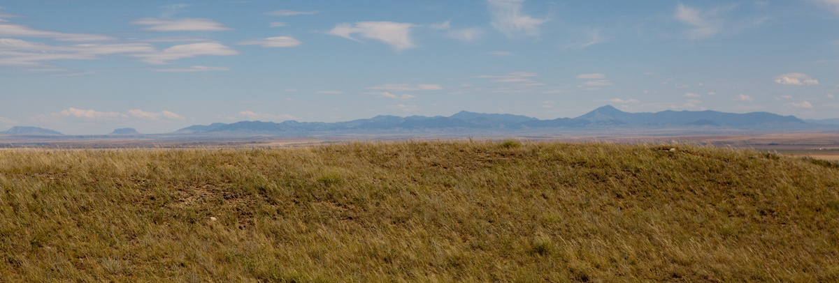 Wide open short-grass plain