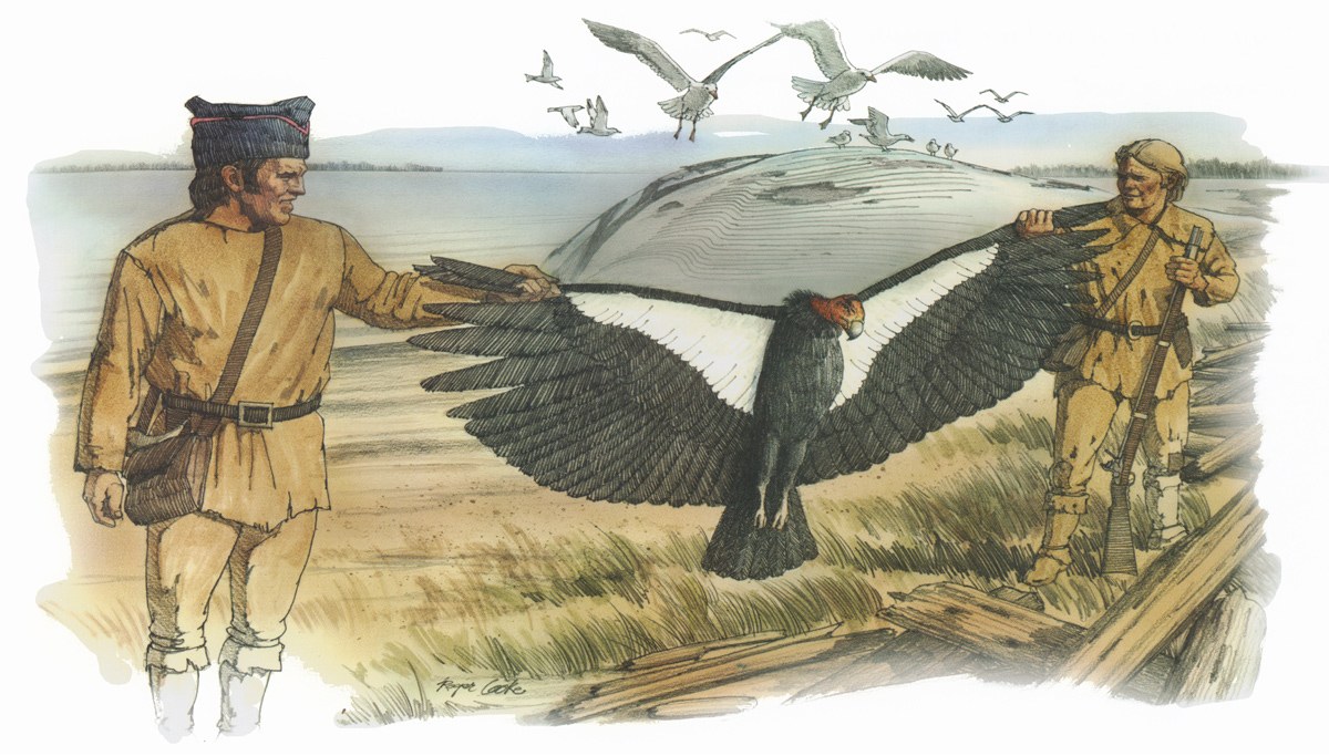 Two enlisted men hold a dead condor by the wings