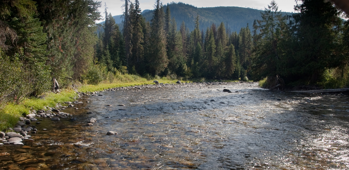The shallow, rocky, and wide Crooked Fork