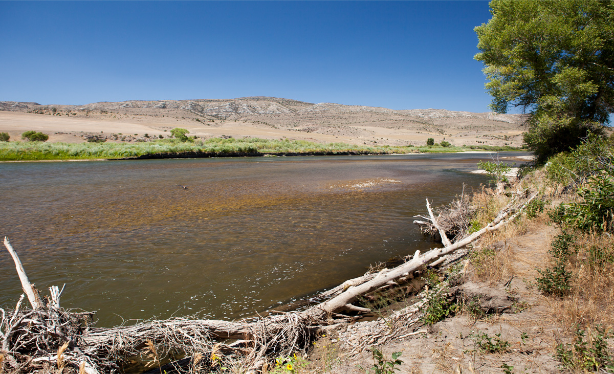 Clear river with stony bottom