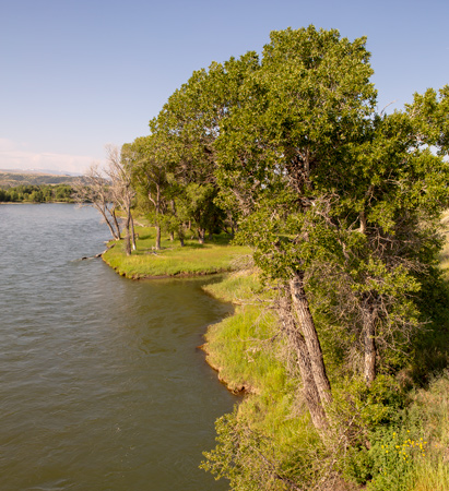 Small trees cling to the river bank