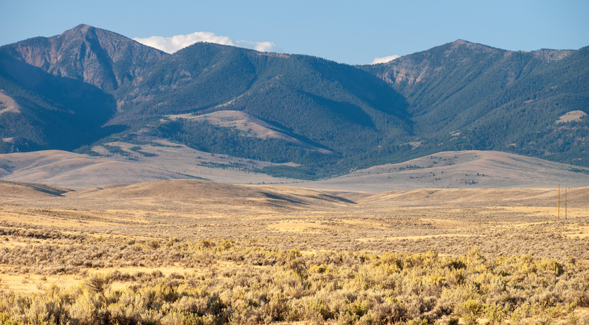 Sabebrush plains and forested mountains