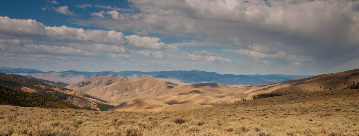 Sagebrush covered ridge with a view to many mountains