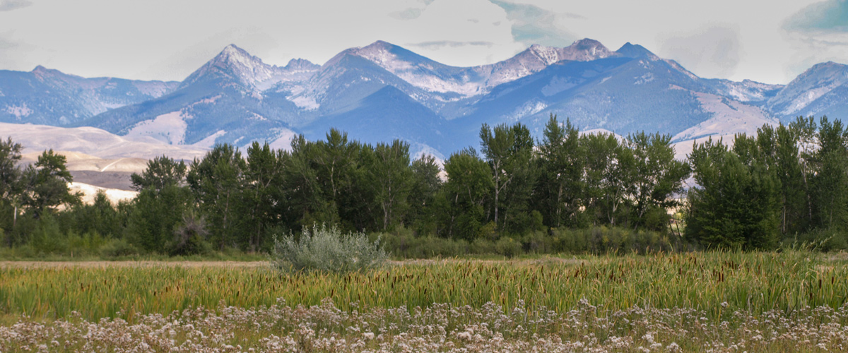 Valley backed by low brown hills, then tall forested mountains