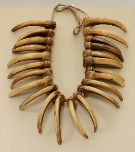 23 long bear talons create a single necklace