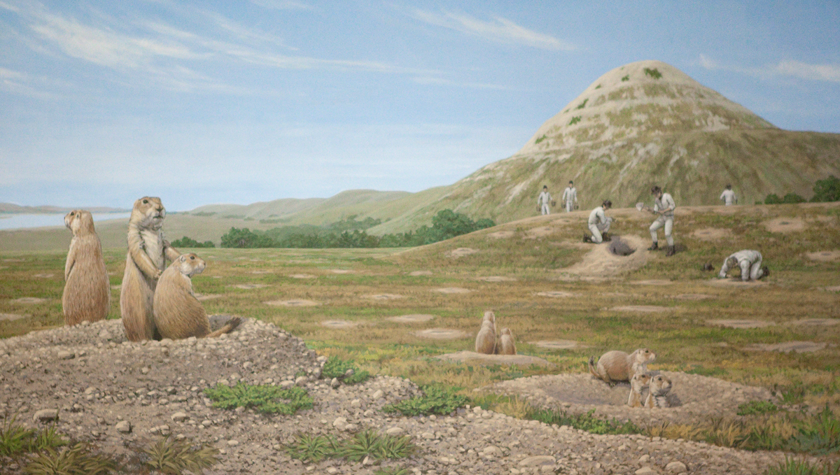 painting of the soldiers pouring water down prairie dog holes
