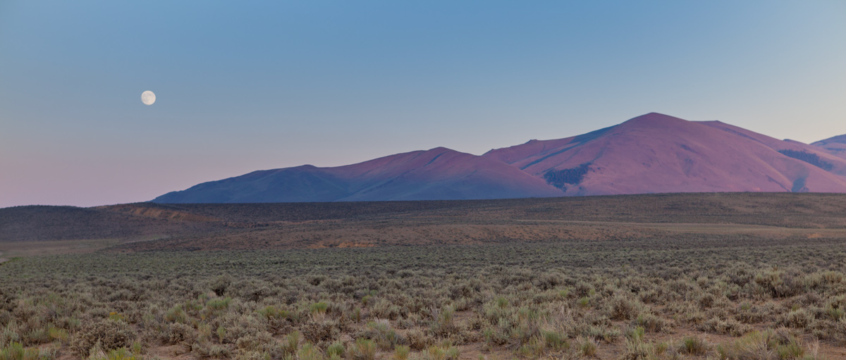 A full moon above the sagebrush