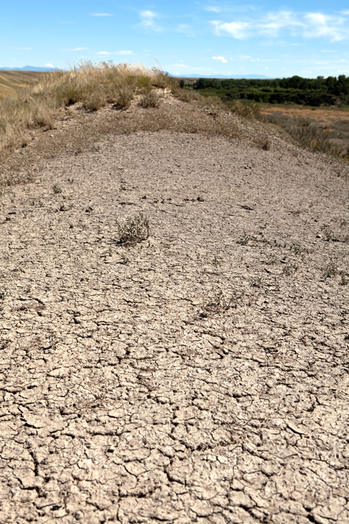 Dry, cracked soil with some sparse vegetation