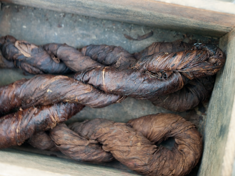 Long brown leaves twisted into pretzel shapes
