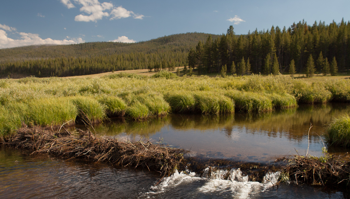 Beaver-ponded mountain stream and valley