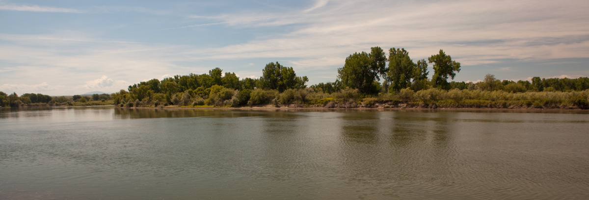 Wide, smooth river and island with willow and cottonwoods