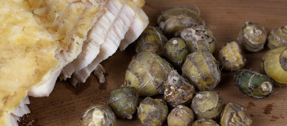 Large piece of fish and small round bulbs