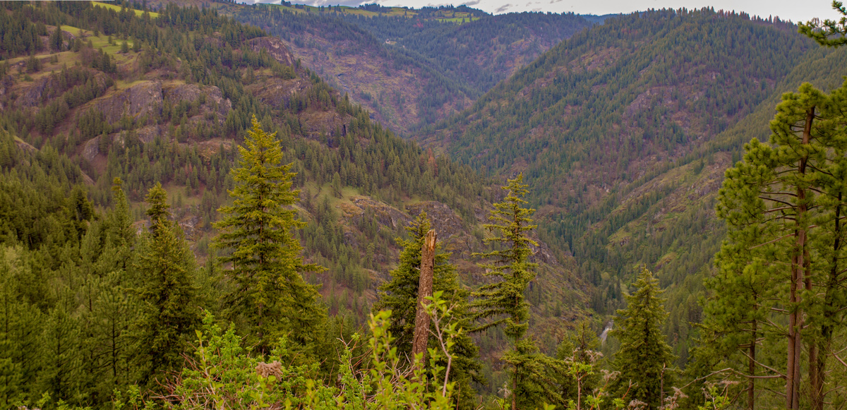 River viewed from the top of high hills