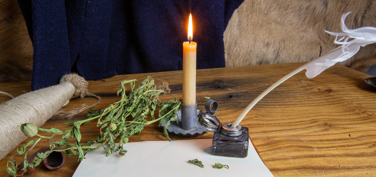 A dried branch of Indian Tobacco on Meriwether Lewis's desk