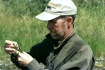 Man looking at green algea that he is holding in his hand