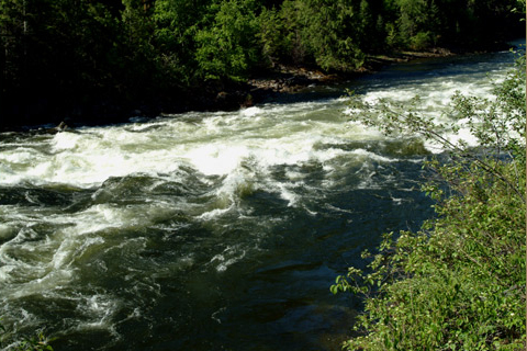 A narrow rapid in the Lochsa River