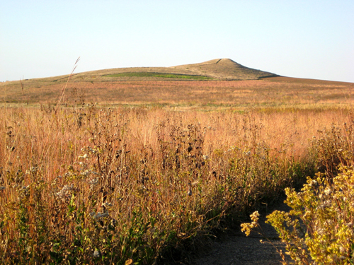 Brown, autumn grasses and plants before a small, conical hill