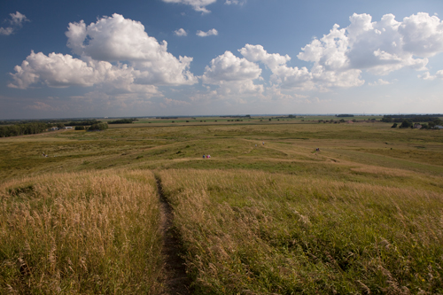 Tall-grass prairie for many miles