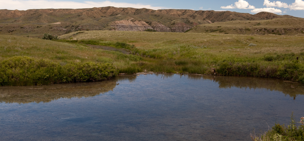 A small pond with very clear water
