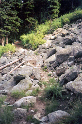 Trail winding through rock slide