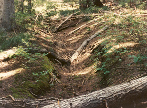 Eroded trail heading up a hillside