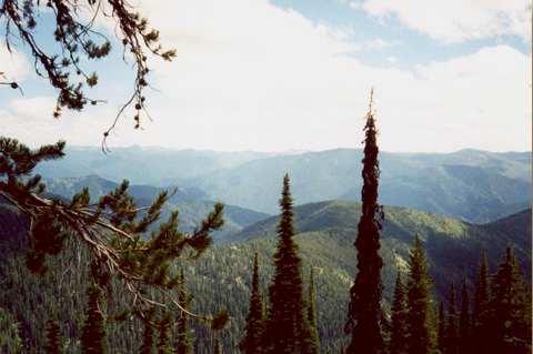 View eastward of subalpine mountains
