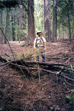 On Jim Brown Ridge