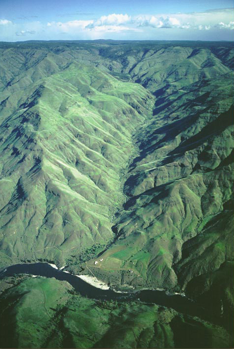 Deep canyon with a small creek coming down to the Salmon River canyon, a village on Ordway's fishing trip